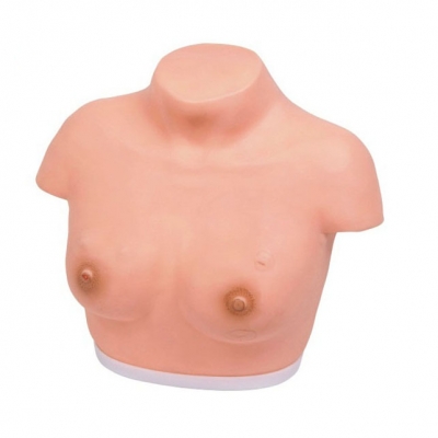 高级乳腺视诊与触诊模型