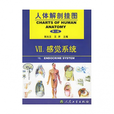 《人体解剖挂图》-感觉系统挂图（12张）