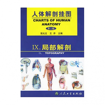 《人体解剖挂图》-局部解剖挂图（67张）