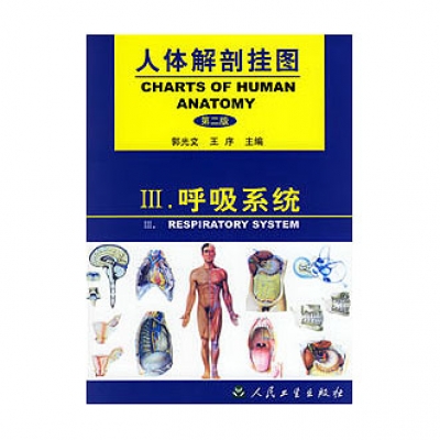《人体解剖挂图》-呼吸系统