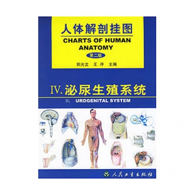 《人体解剖挂图》-泌尿生殖系统挂图（18张）