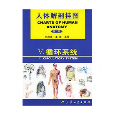 《人体解剖挂图》-循环系统挂图（26张）