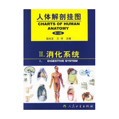 《人体解剖挂图》-消化系统