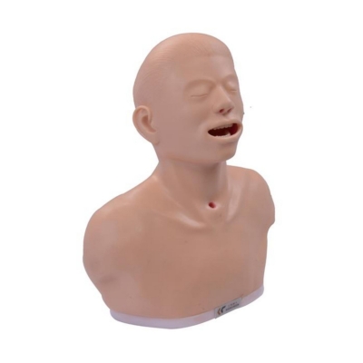 甲状腺检查训练模型