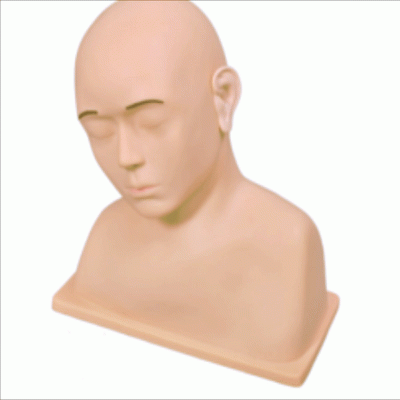  高级耳冲洗训练模型