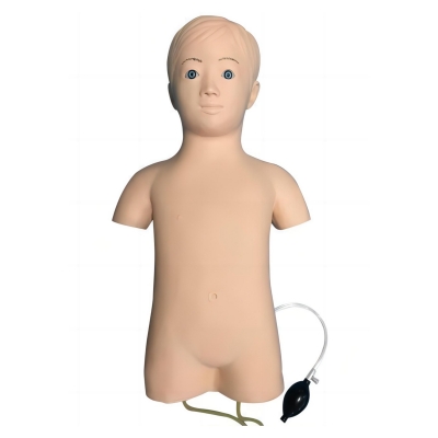 儿童股静脉与股动脉穿刺训练模型