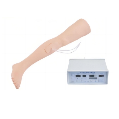 止血训练腿模型
