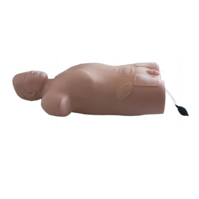 腹腔与股静脉穿刺模型