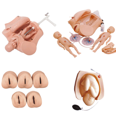 高级腹部触诊、分娩机转综合模型