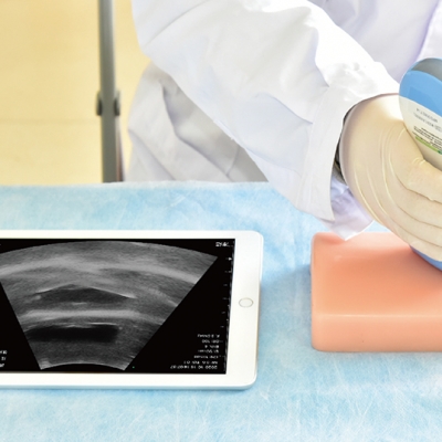 B超胆囊训练模块