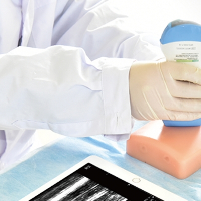 B超血管训练模块